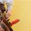 Handyman repair service in Atlanta, GA for home fixes and improvements